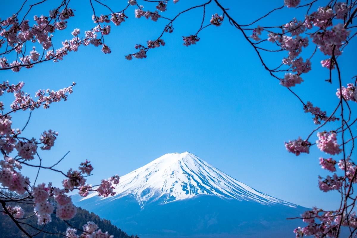 帮你去除偏见,带你了解日本 帮你去除偏见,带你了解日本